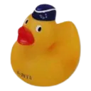 chiken chiken