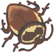 roach