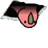 Birb