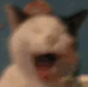 AAAAAAAA