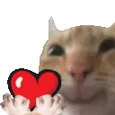 catheart