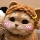 Catblush CatBlush Discord Emoji