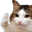suzubigcatthumb