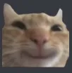 l1_catsmile