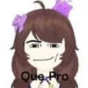 quepro