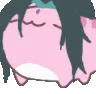 xiaocatnod