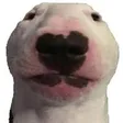 azzakeWalter