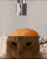 catsurgery Discord Emoji
