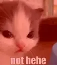 nothehe