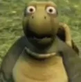 turtleshockedemoji turtleshockedemoji
