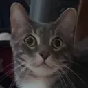 oo oo