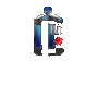 fijibounce