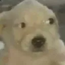 __