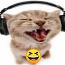 XD
