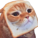 cb_cat_toast Discord emoji