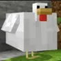jackko