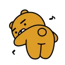 bearcitodance