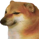 DOGE