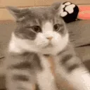 CIdimdenshake CIdimdenshake
