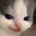 evil