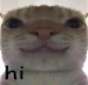 CISwaghi CISwaghi