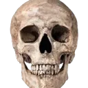 RealisticSkull