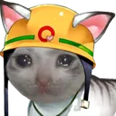 RescueCat Discord Emoji