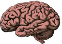 brains custom emote | NYC Nerd Rocks