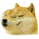 Doge Discord Emoji