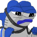 sharkKms sharkKms