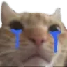 cry_cat