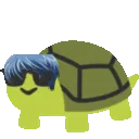kitesoturtleglasses