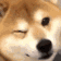 Dogewink dogewink Discord Emoji