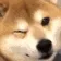 dogewink