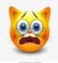 scaredkitty