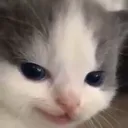 mischief