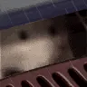 peekjam peekjam
