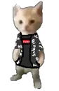 CIdripmichael CIdripmichael