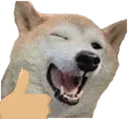 DogeThumbsUp