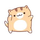 nkoVibe