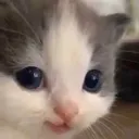 innocent