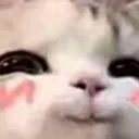 kittyuwu2 Discord Emoji