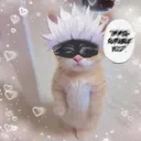 gojocat Discord Emoji