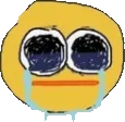 Sadness