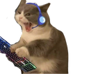 gaming_cat Discord emoji