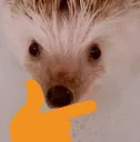 thinkinghedgehog Discord Emoji