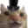 SwagGentleman