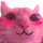 kitten