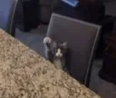 hey