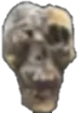 Skull3 Skull3